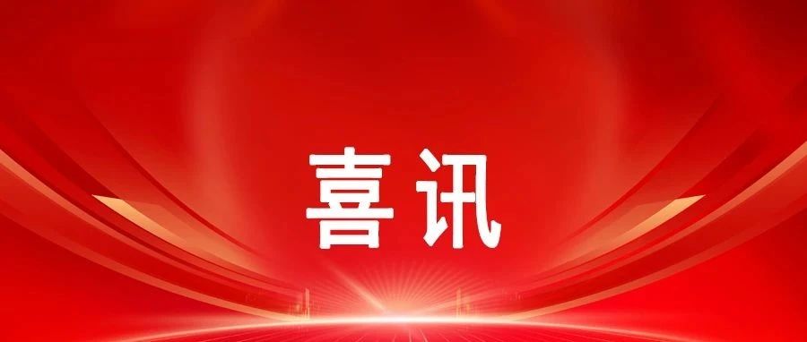 喜讯！中安科技集团财务总监艾丽凤荣获2024年“西部企业数字化转型领军人物”称号 